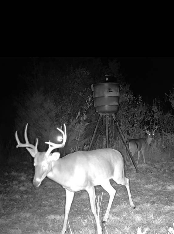 13762 SW FM 639, Barry, TX 75102