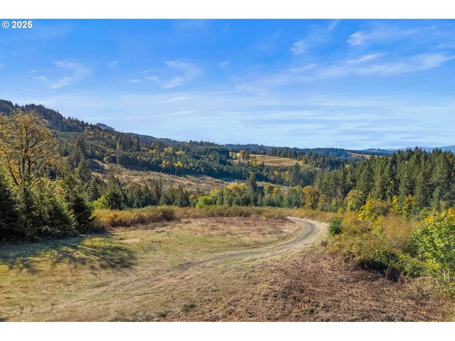 37251 SW THIMBLEBERRY DR, Gaston, OR 97119