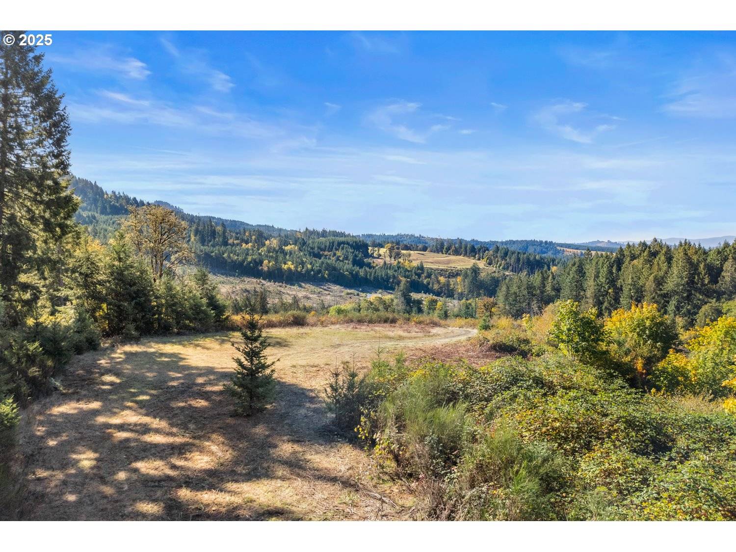 37251 SW THIMBLEBERRY DR, Gaston, OR 97119