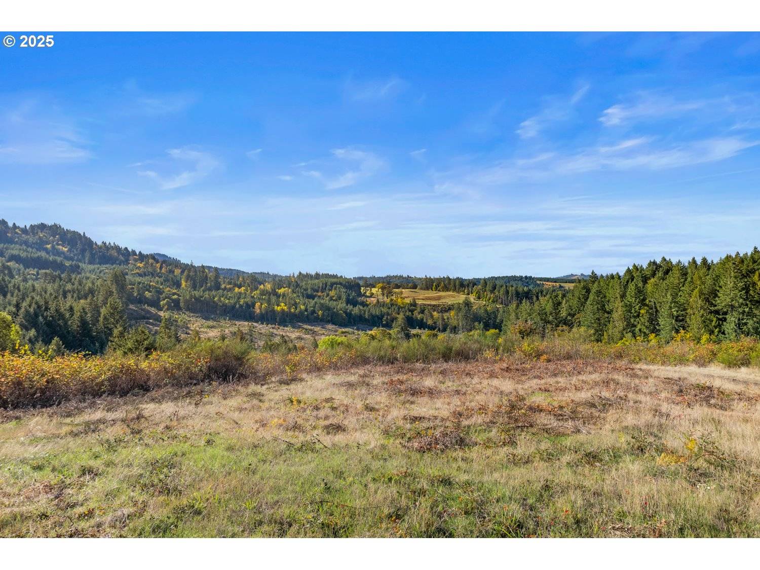 37251 SW THIMBLEBERRY DR, Gaston, OR 97119