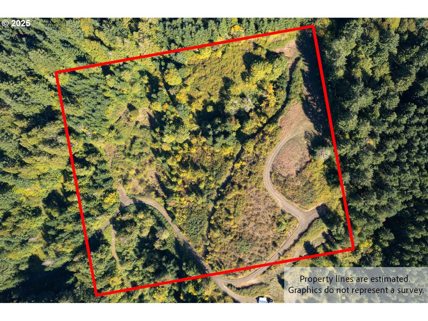 37251 SW THIMBLEBERRY DR, Gaston, OR 97119