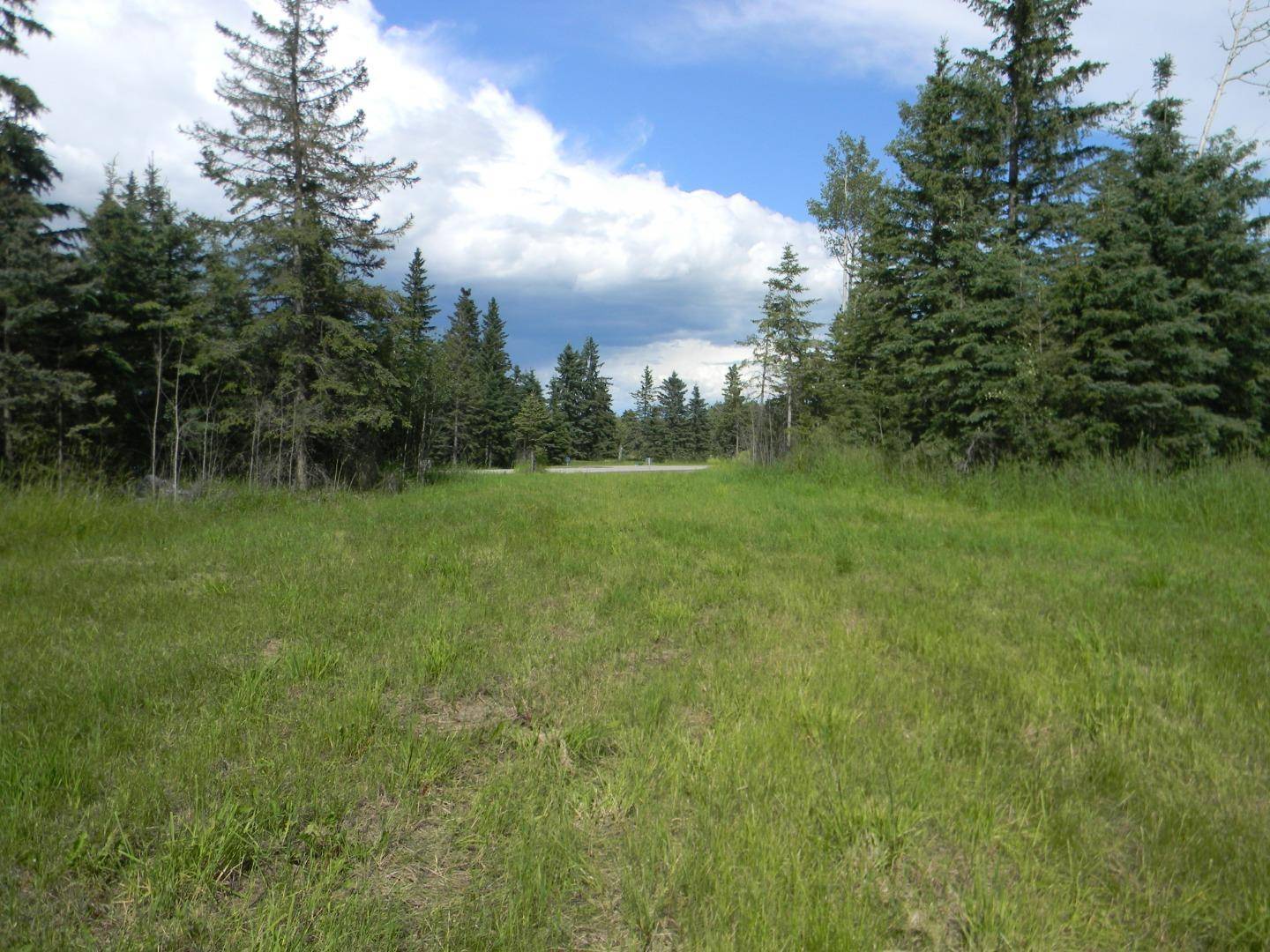115 Meadow Ponds DR, Rural Clearwater County, AB T4T 1A7