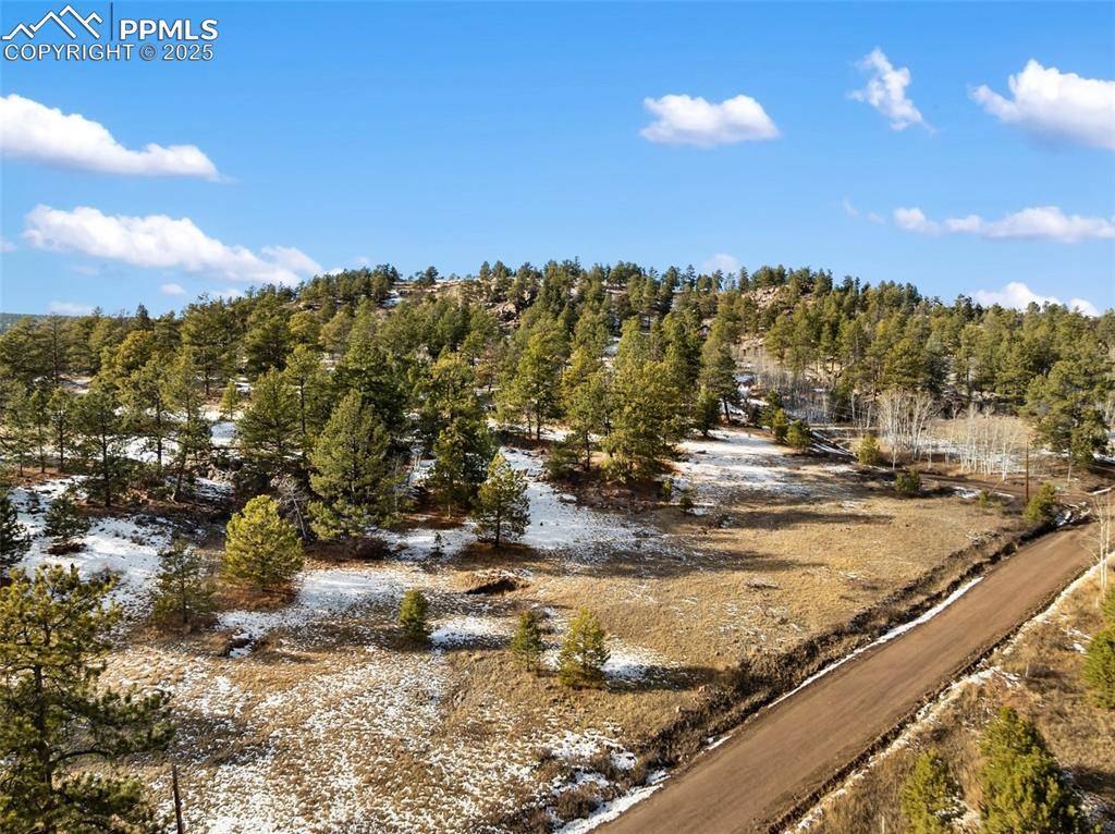 527 Plateau DR, Guffey, CO 80820
