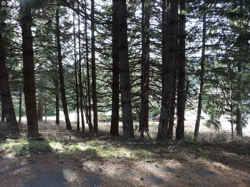 Sophie LN, Carson, WA 98610