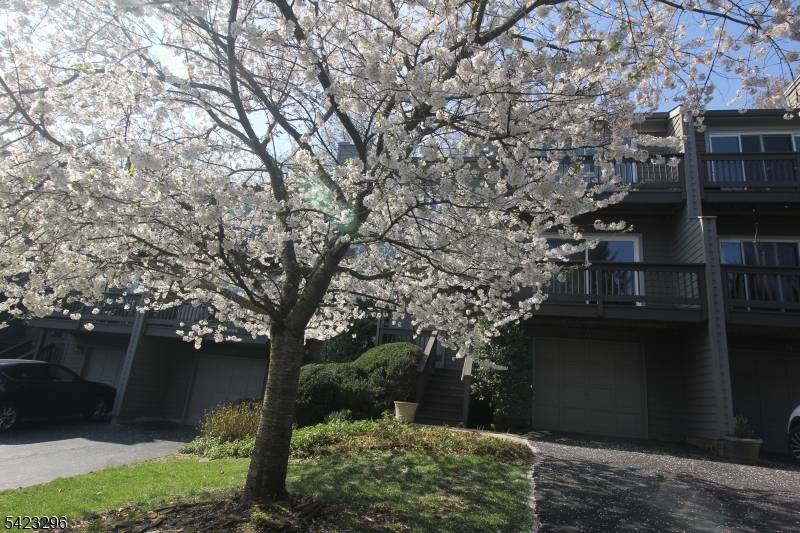 37 Melrose, Montgomery Twp., NJ 08540