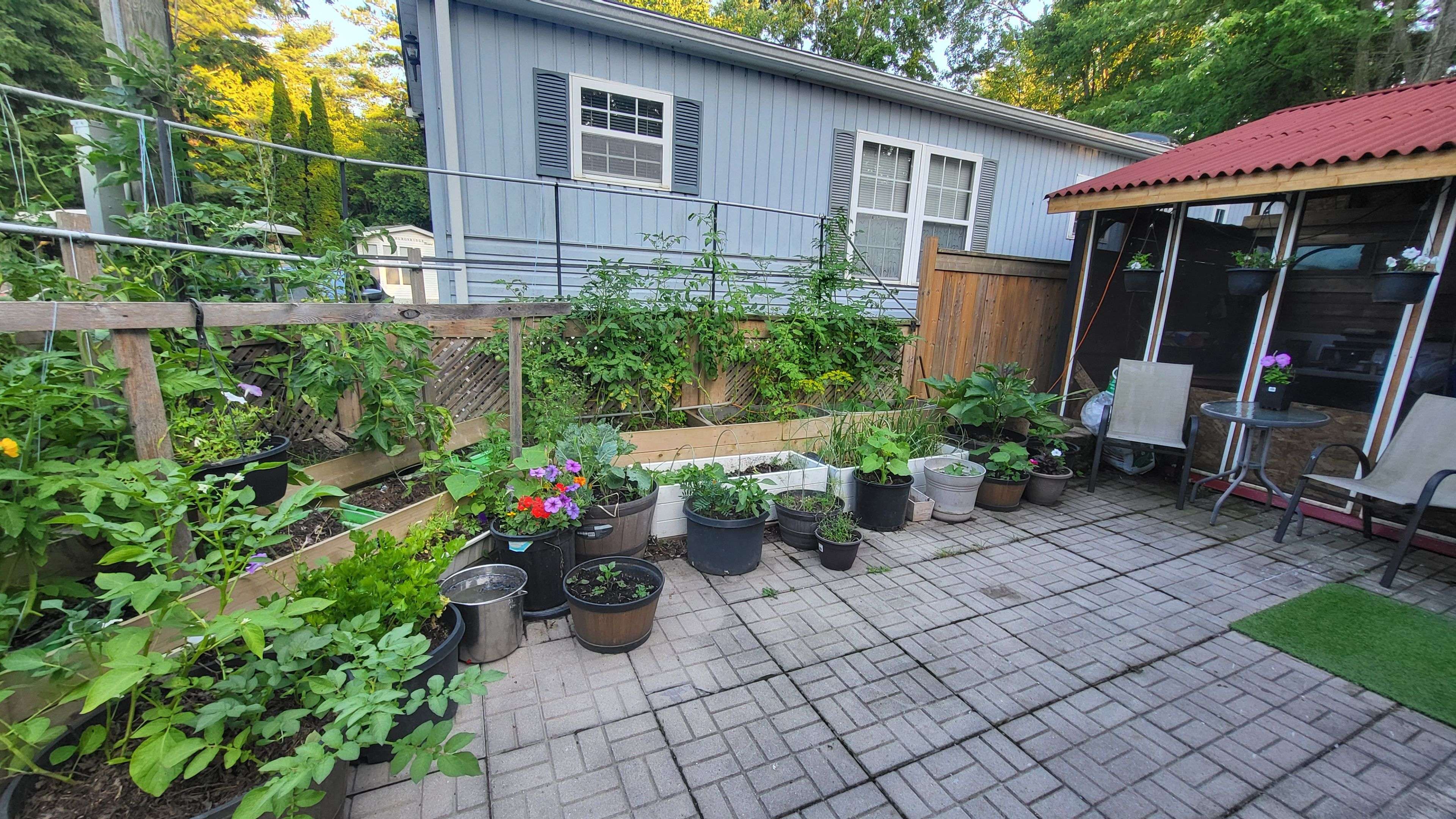 24 Chickadee CT, Georgina, ON L0E 1N0