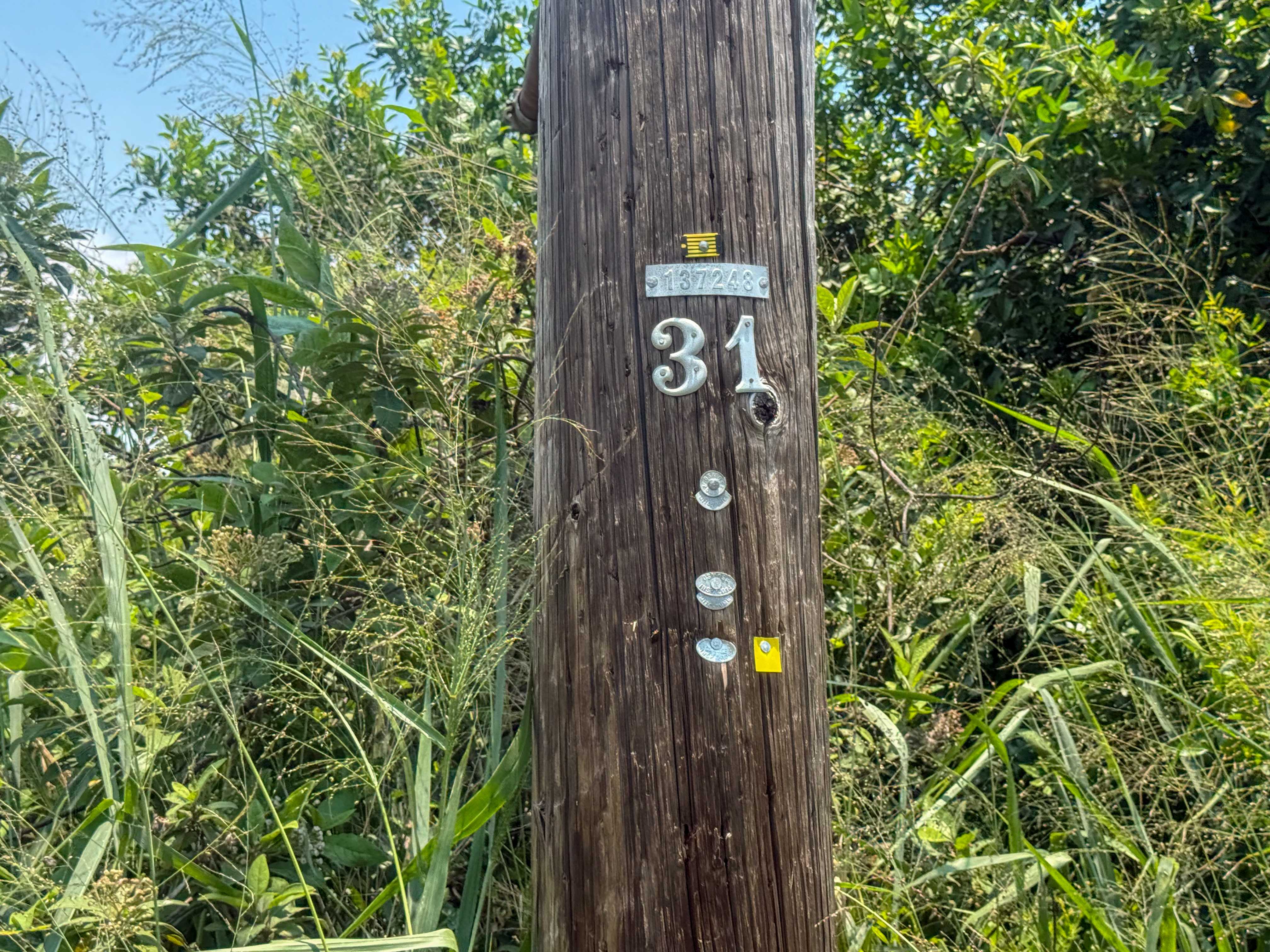 94-1381 KAULUA CIRCLE, Naalehu, HI 96772