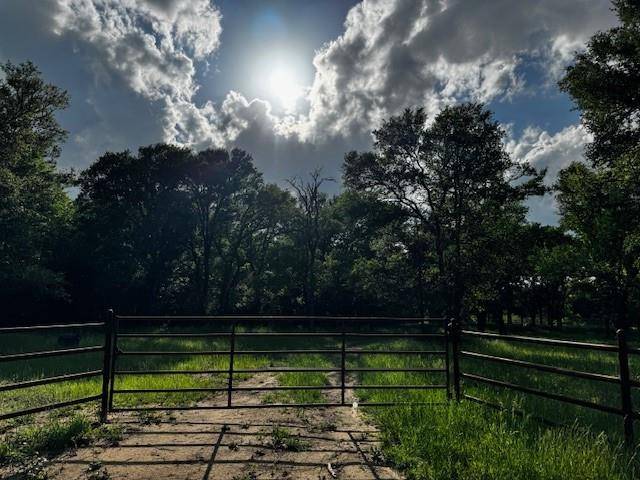 tbd CR 1000 County Road 1000 Road, Wortham, TX 76693