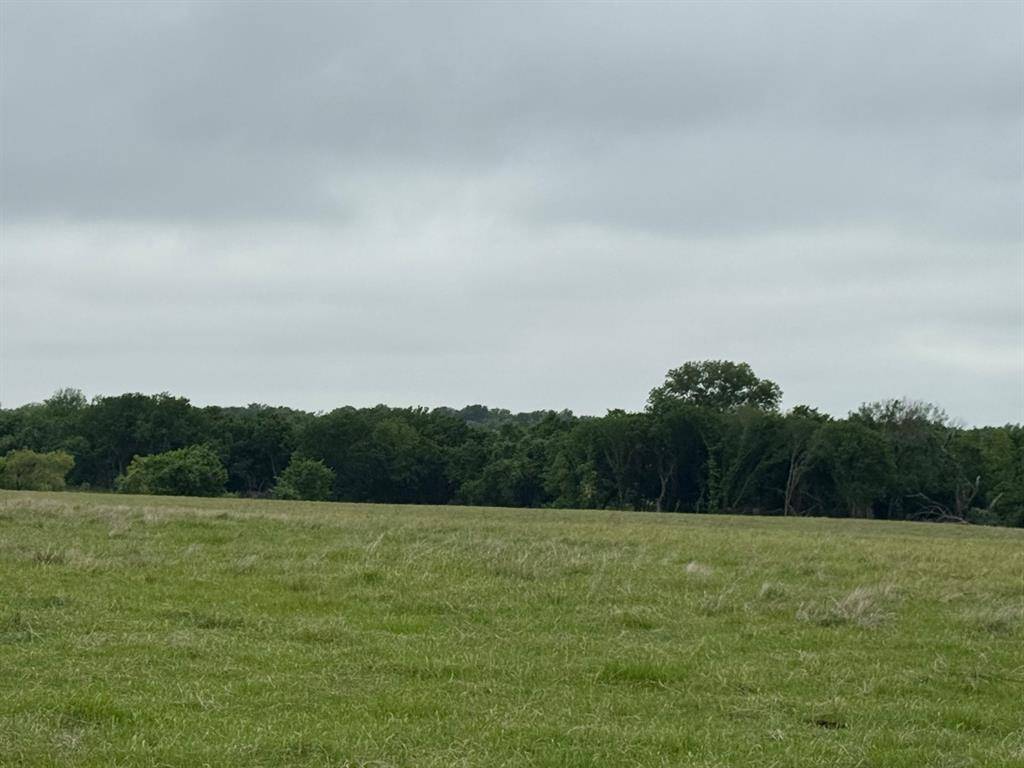 599 Lone Star, Poolville, TX 76487