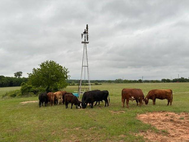 599 Lone Star, Poolville, TX 76487