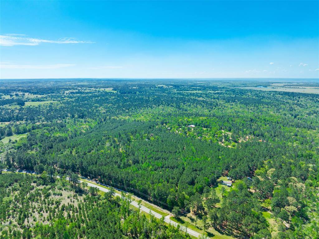 6679 W State Hwy 294, Palestine, TX 75801