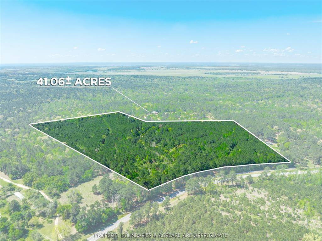 6679 W State Hwy 294, Palestine, TX 75801