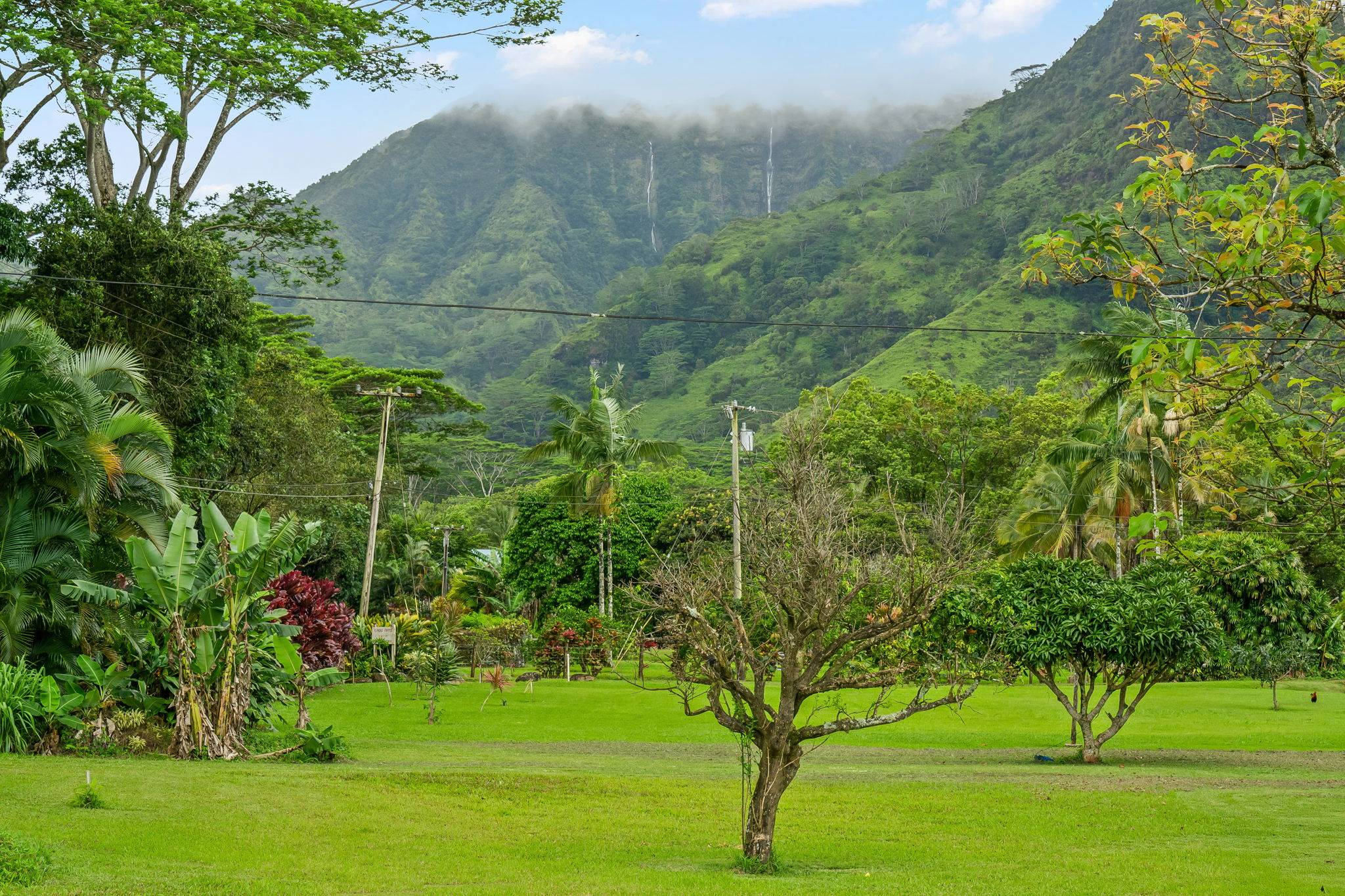 7060 KAHUNA RD, Kapaa, HI 96746