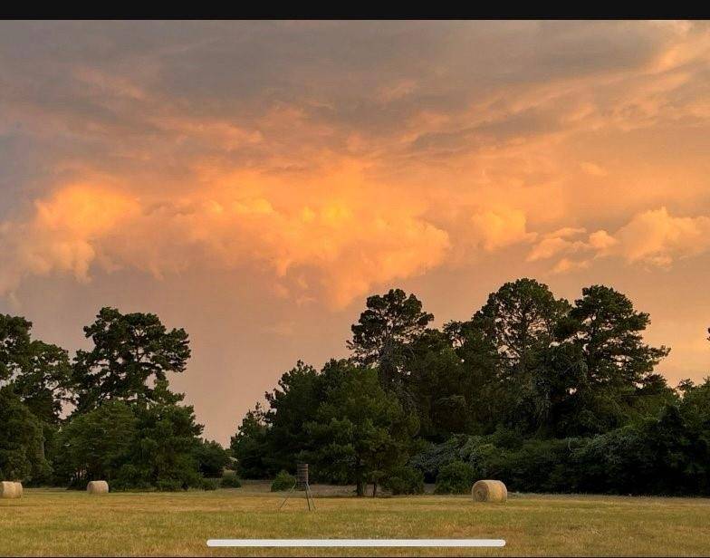 tbd Pr 1315, Centerville, TX 75833