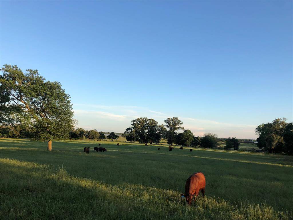 3739 W Fm 515, Como, TX 75431