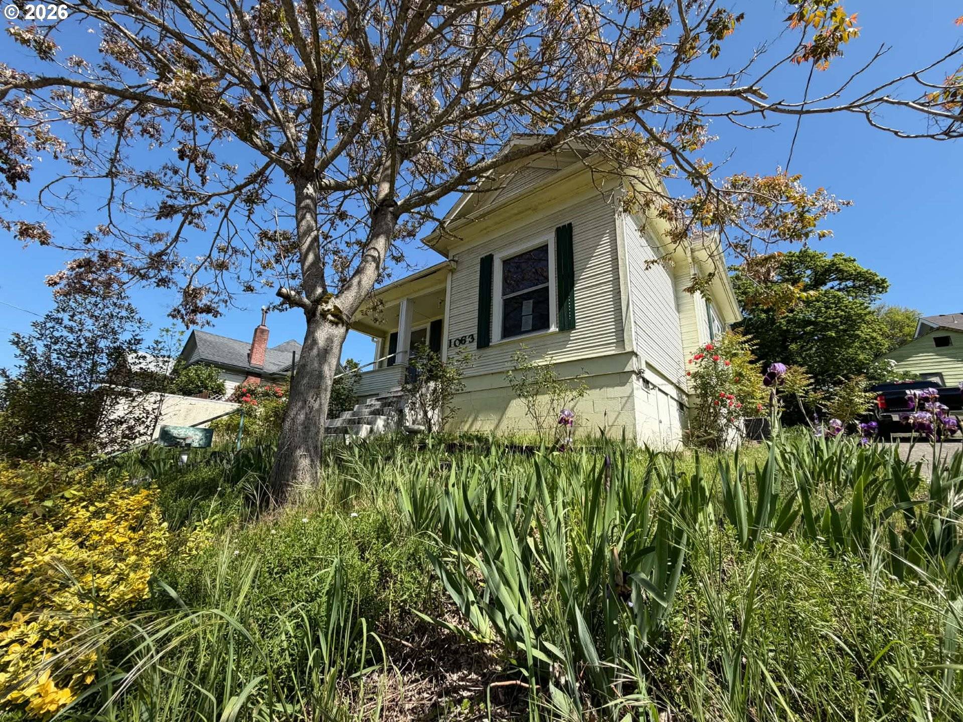 1063 SE JACKSON ST, Roseburg, OR 97470