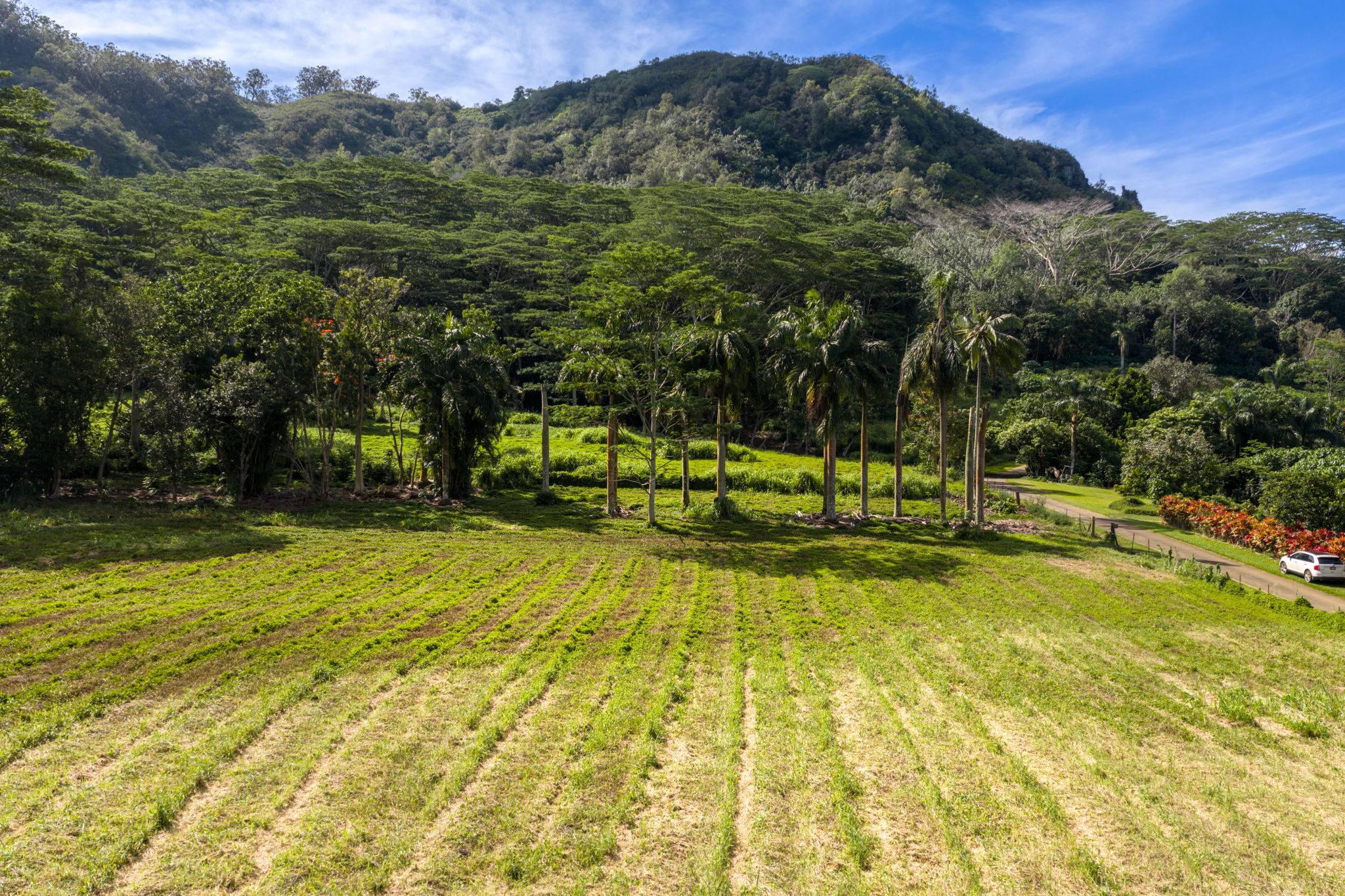KAMALU RD, Kapaa, HI 96746