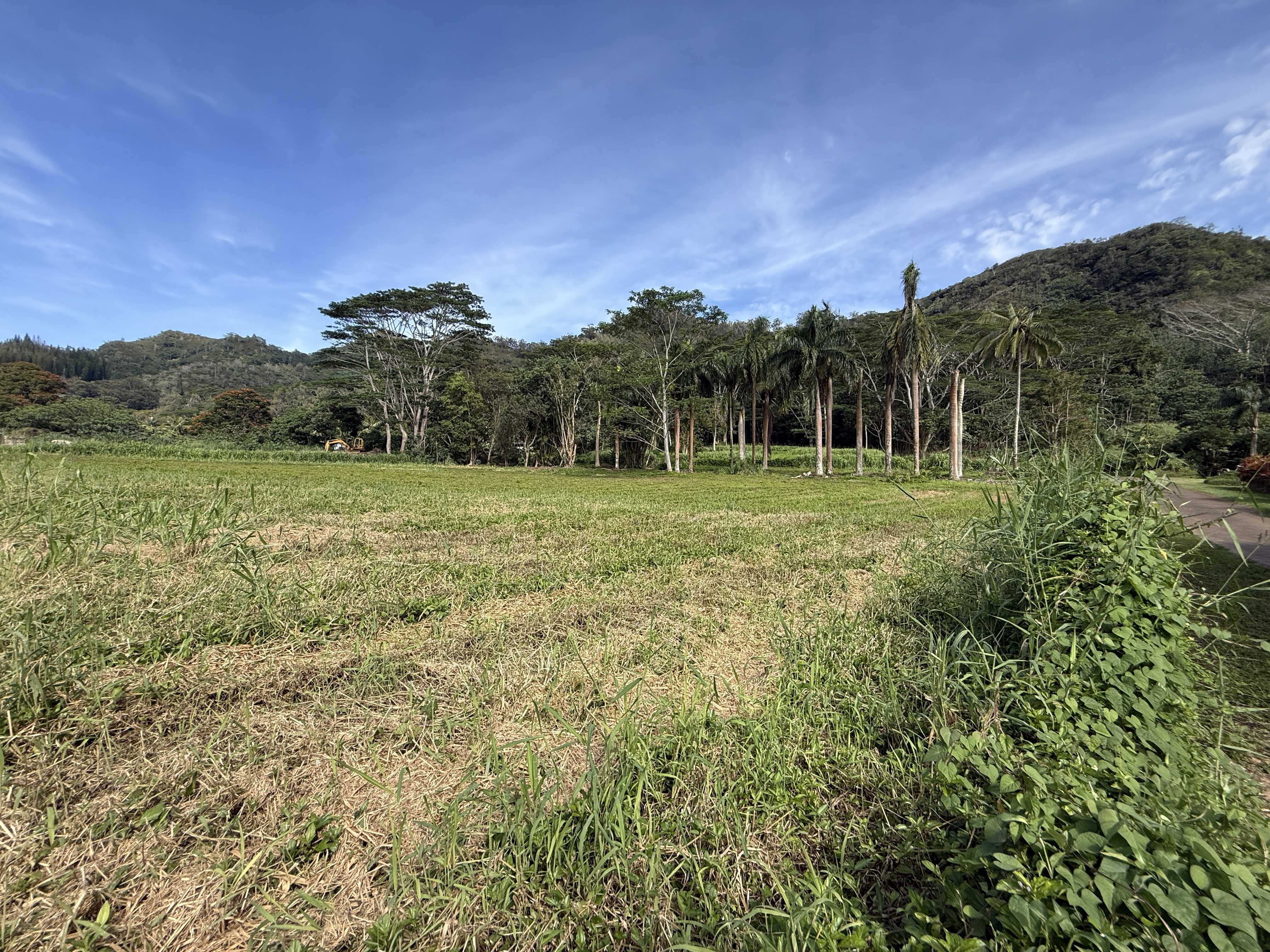 KAMALU RD, Kapaa, HI 96746