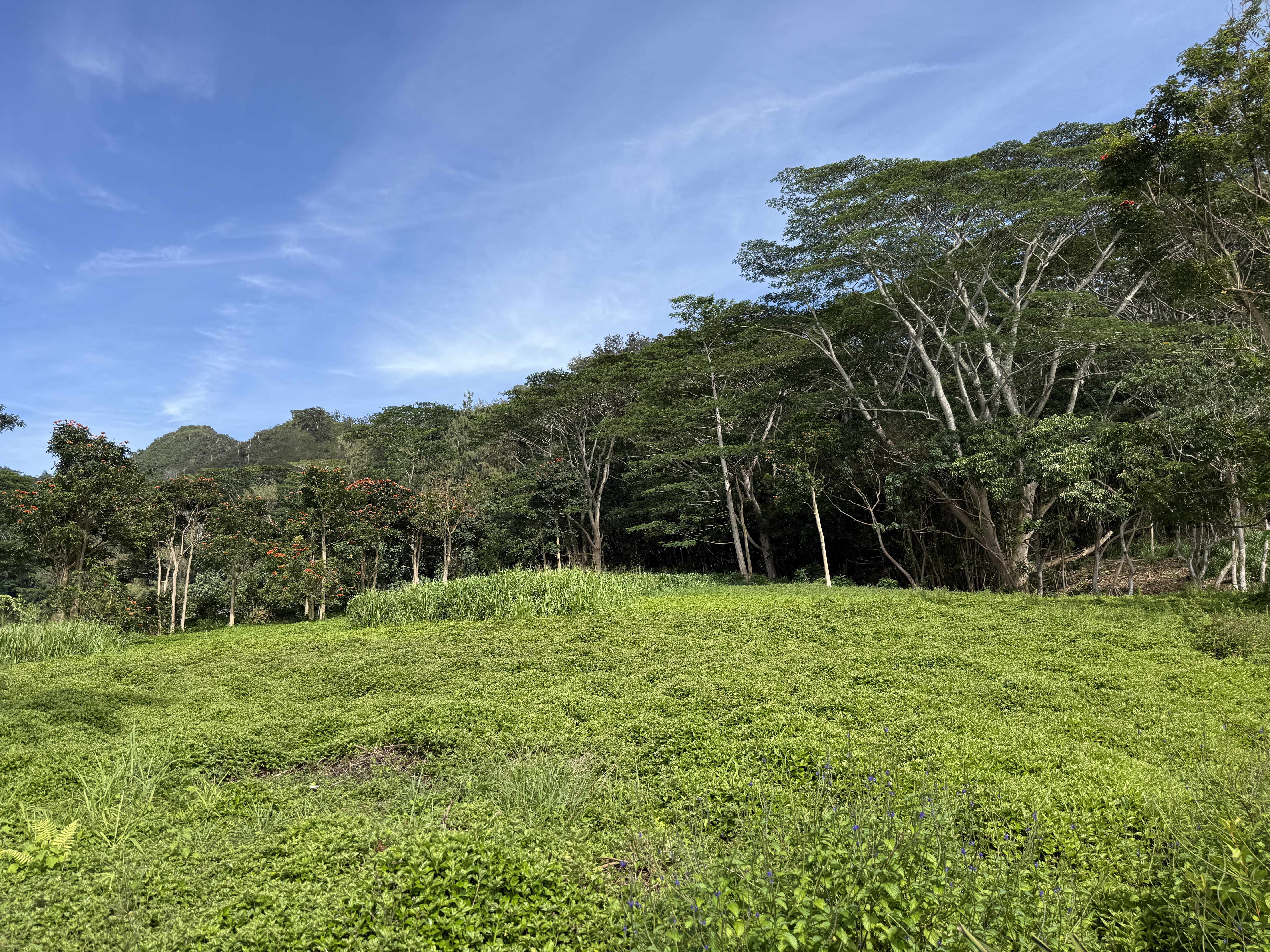 KAMALU RD, Kapaa, HI 96746