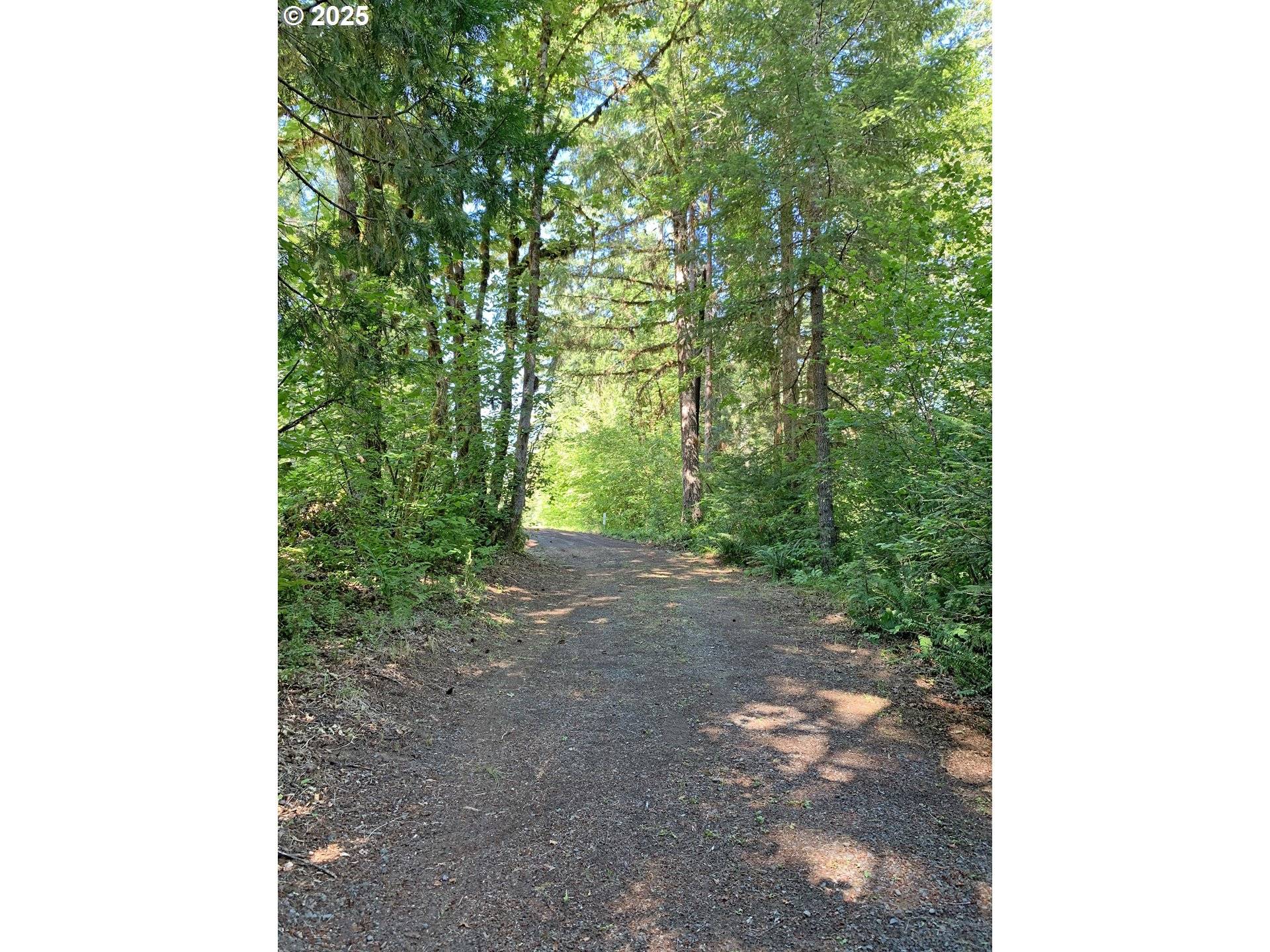 McKenzie River DR #1800, Blue River, OR 97413