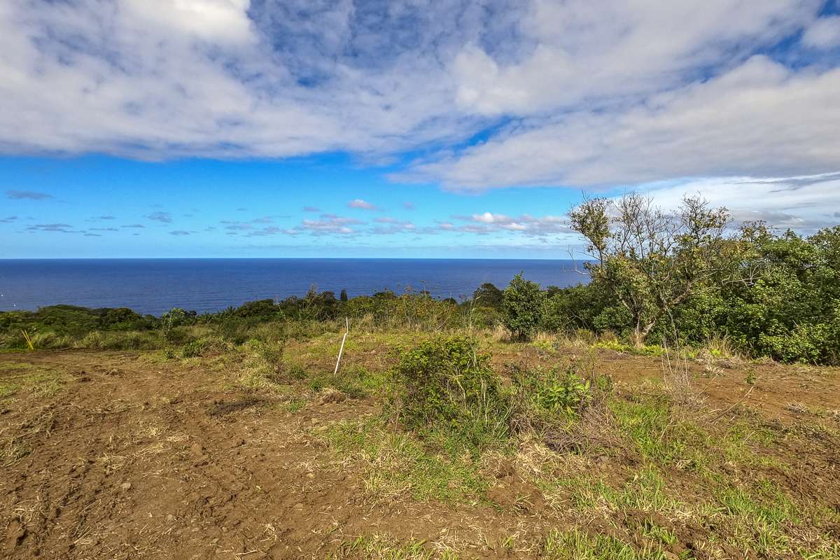 32-360 KAPENA RD, Ninole, HI 96773