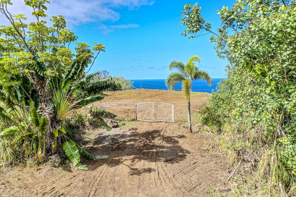 32-360 KAPENA RD, Ninole, HI 96773
