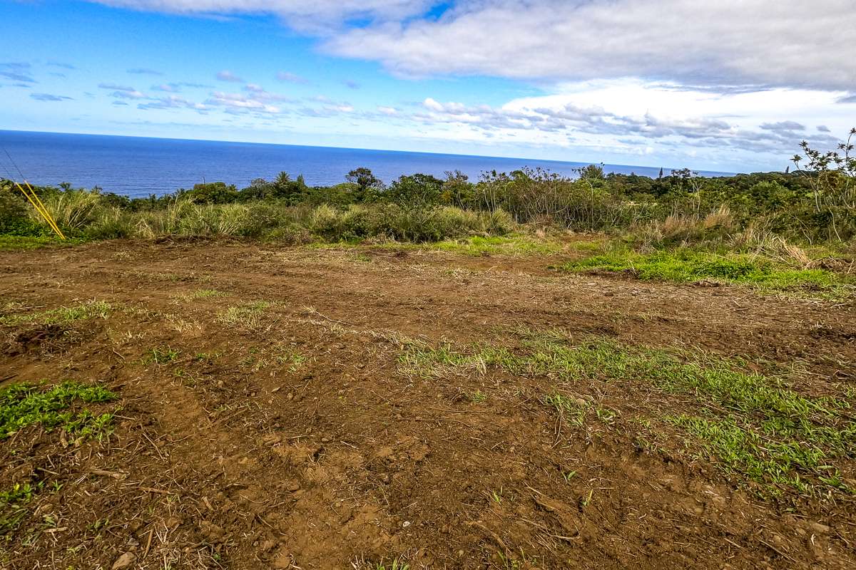 32-360 KAPENA RD, Ninole, HI 96773