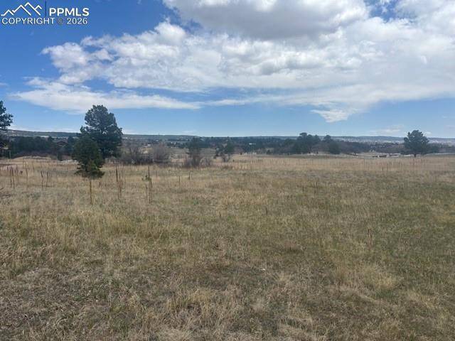 3615 Summertime CT, Monument, CO 80132