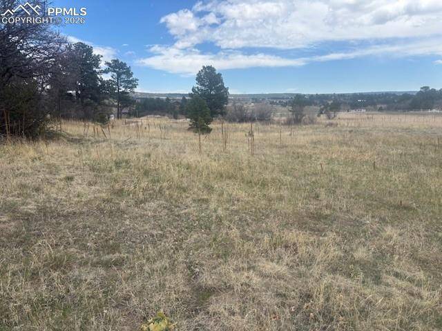 3615 Summertime CT, Monument, CO 80132