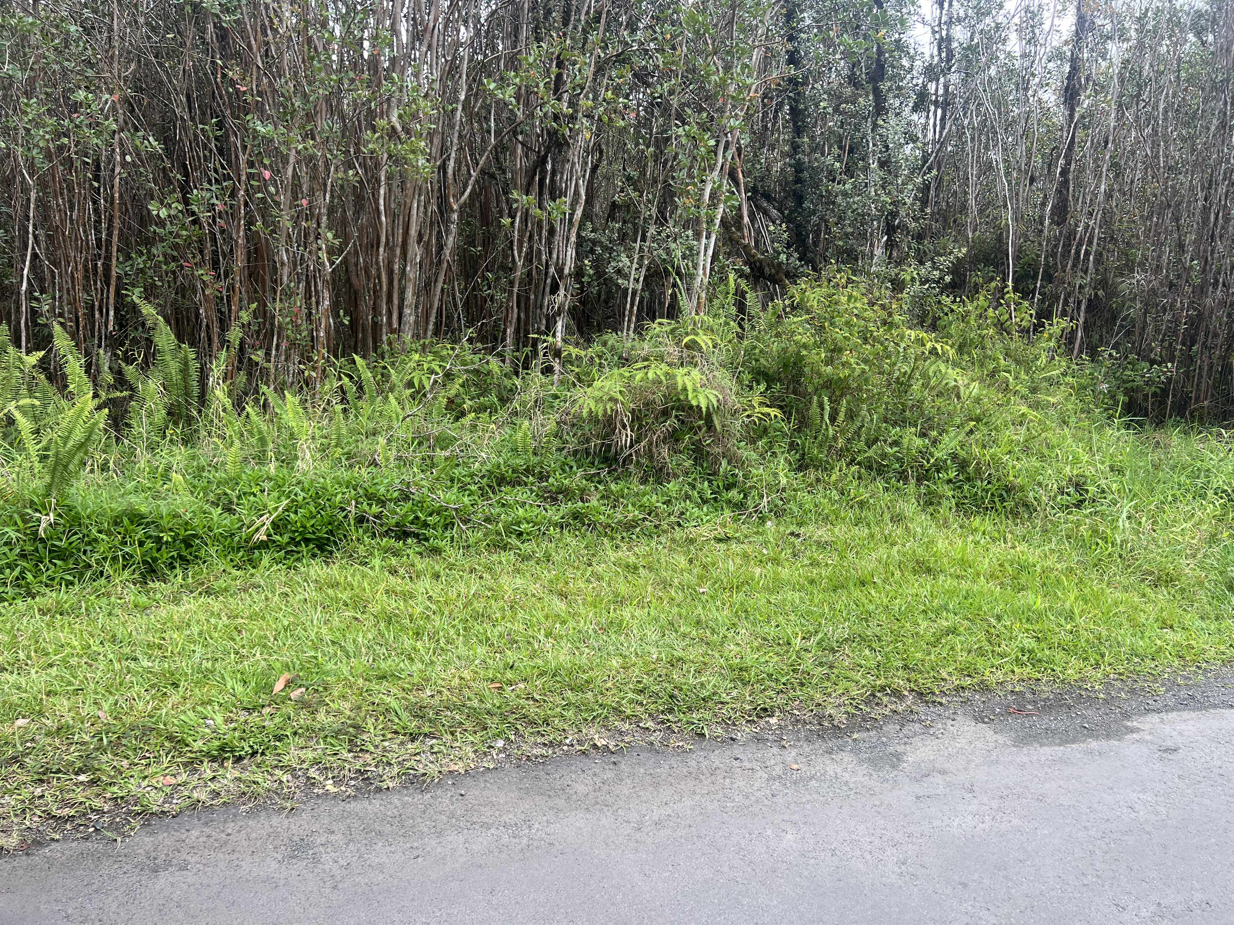 11-3602 HIBISCUS ST, Mountain View, HI 96771
