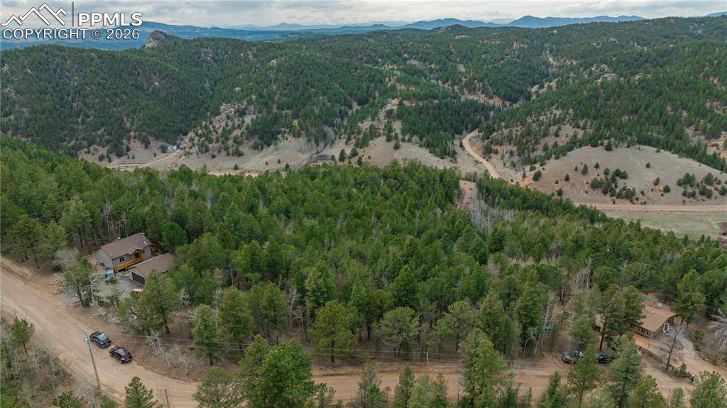 881 Timber Ridge RD, Divide, CO 80814