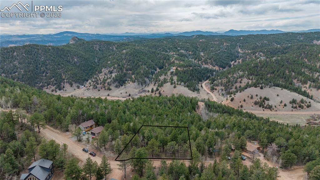 881 Timber Ridge RD, Divide, CO 80814