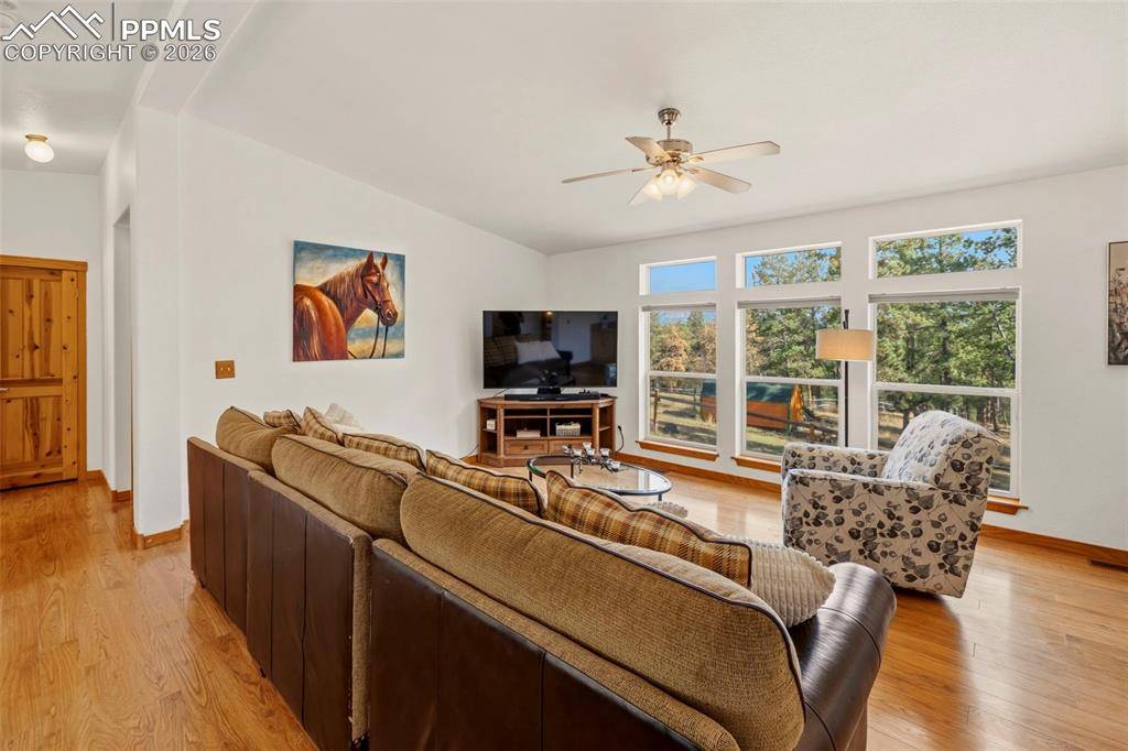 738 Rangeview RD, Divide, CO 80814