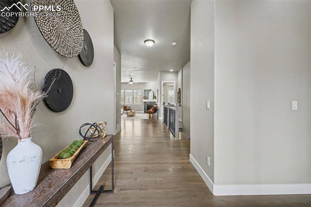 11673 Spectacular Bid CIR, Colorado Springs, CO 80921