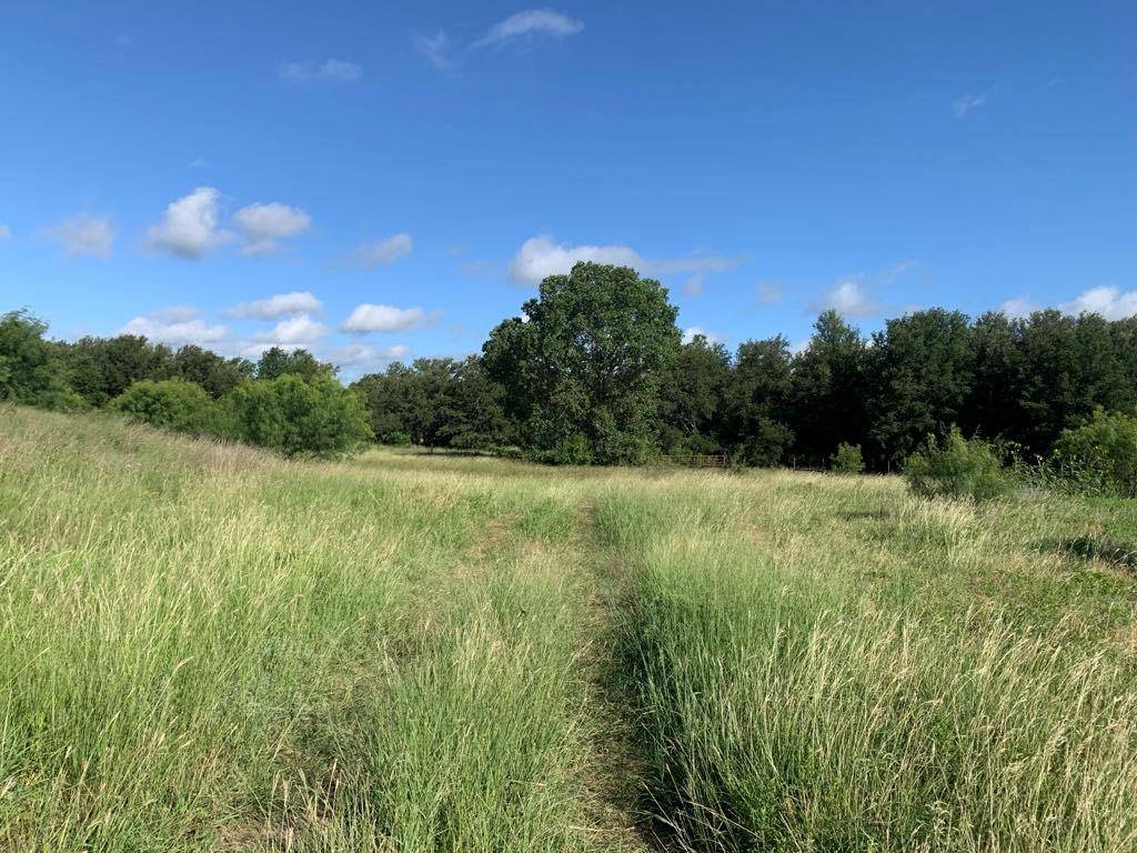 1201 County Road 177, Sidney, TX 76474