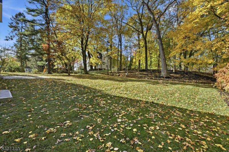 336 Fairmount Ave, Chatham Twp., NJ 07928