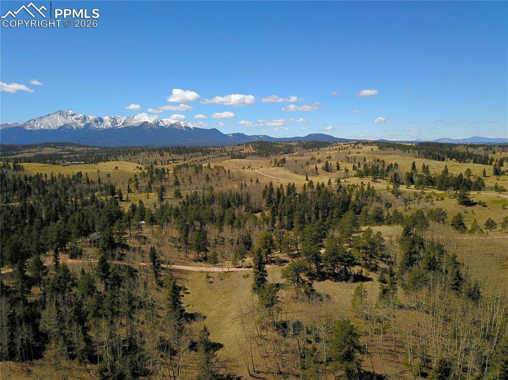 Schubarth TRL, Woodland Park, CO 80863