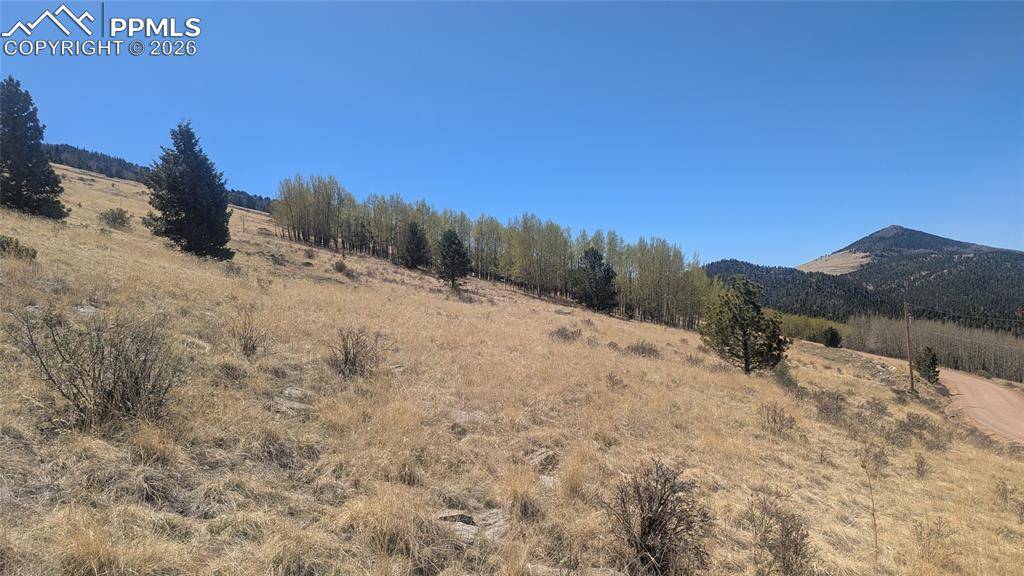 1960 Troy DR, Cripple Creek, CO 80813