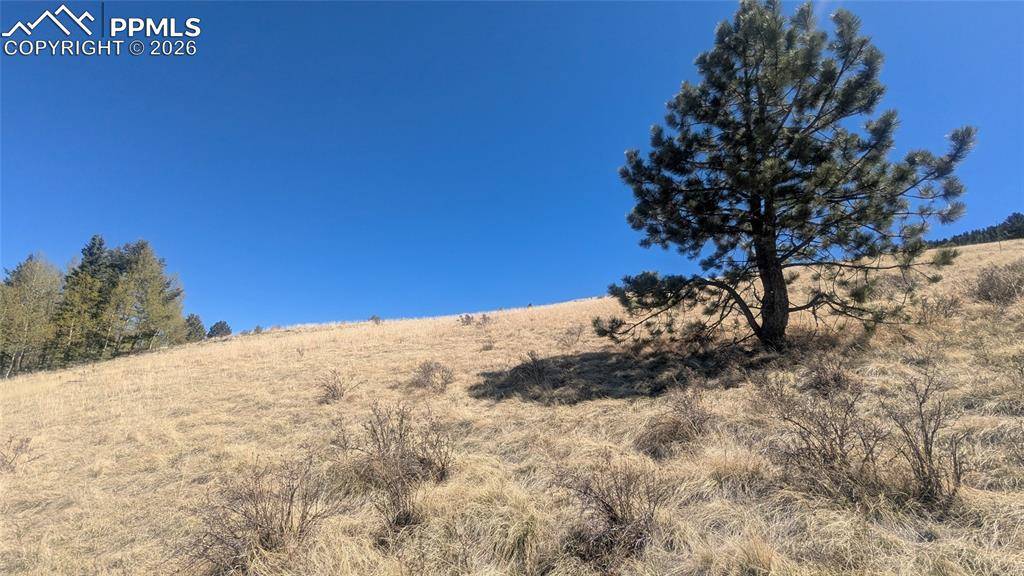 1960 Troy DR, Cripple Creek, CO 80813