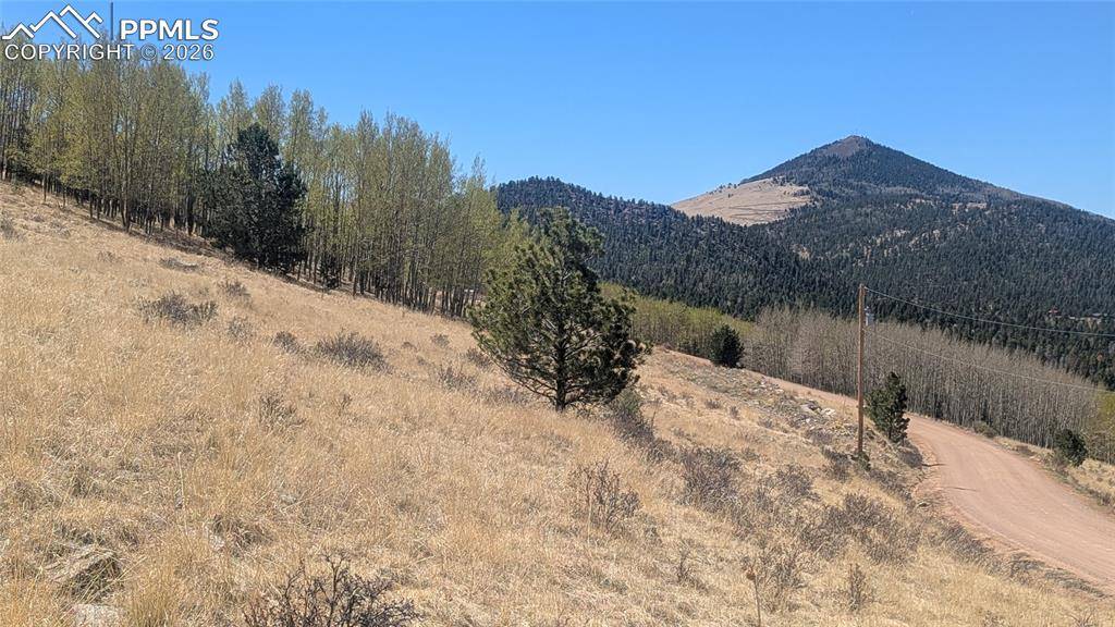 1960 Troy DR, Cripple Creek, CO 80813