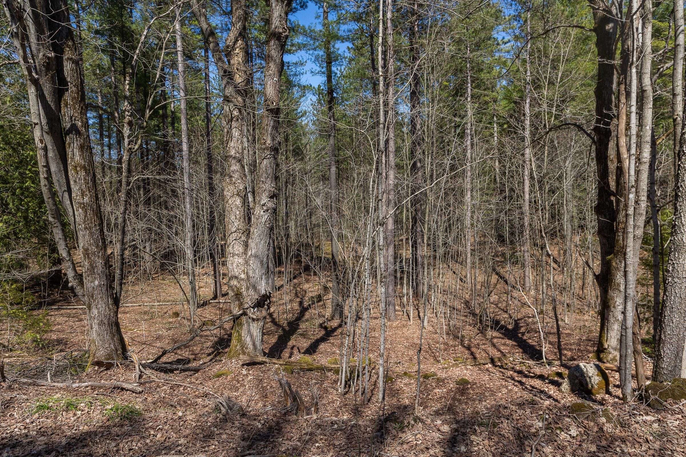 Lot 53/54 West Back Line, Chatsworth, ON N0C 1H0