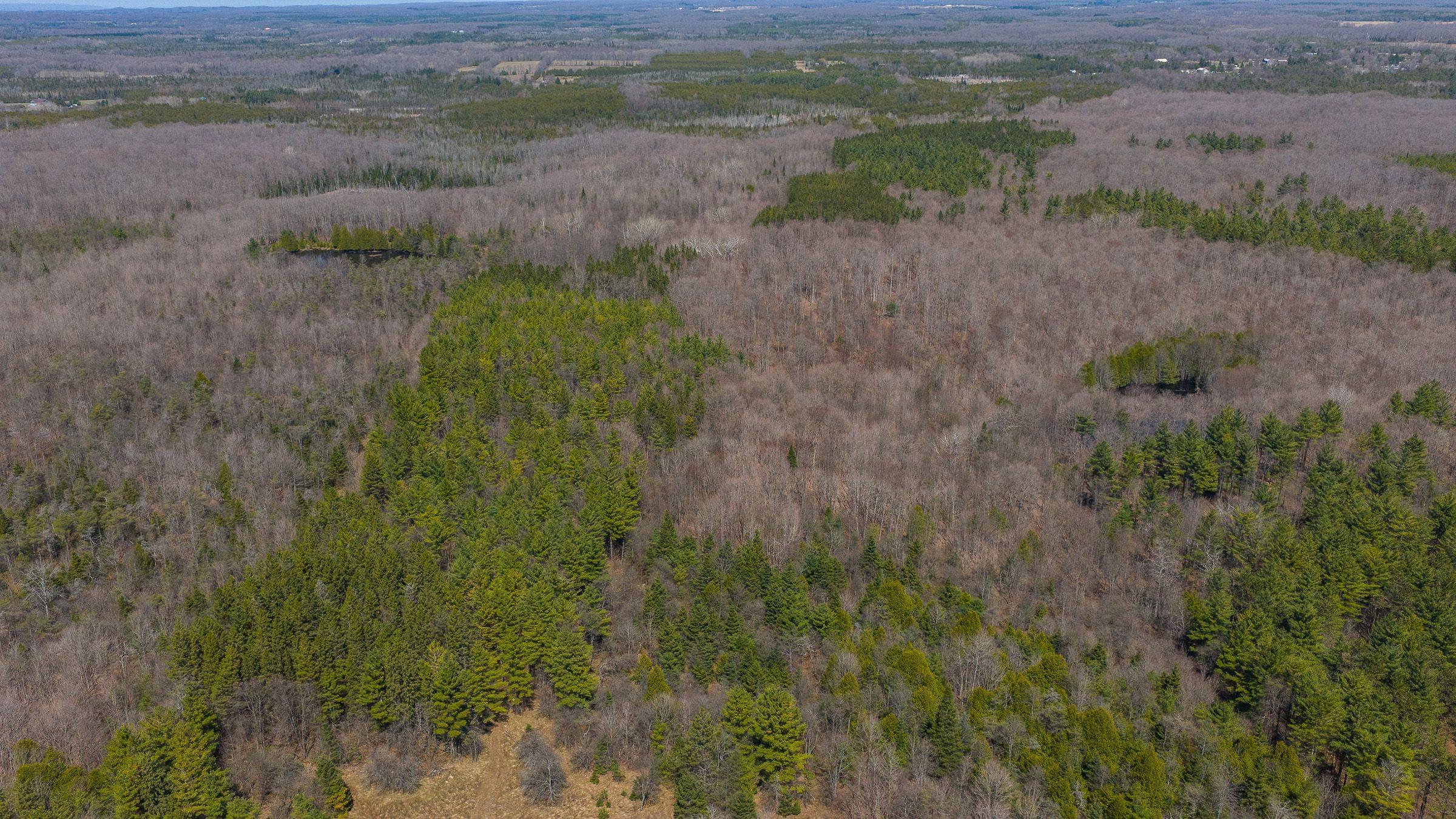Lot 53/54 West Back Line, Chatsworth, ON N0C 1H0