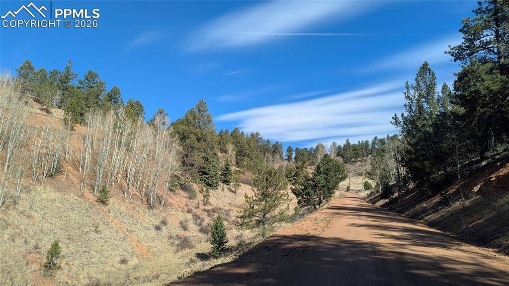 136 Valley RD, Divide, CO 80814