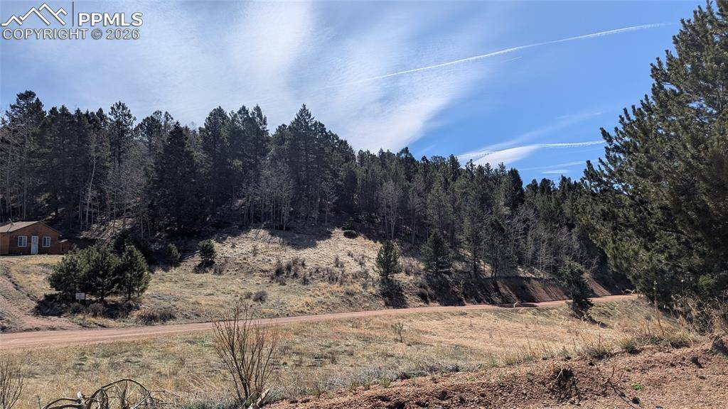 136 Valley RD, Divide, CO 80814