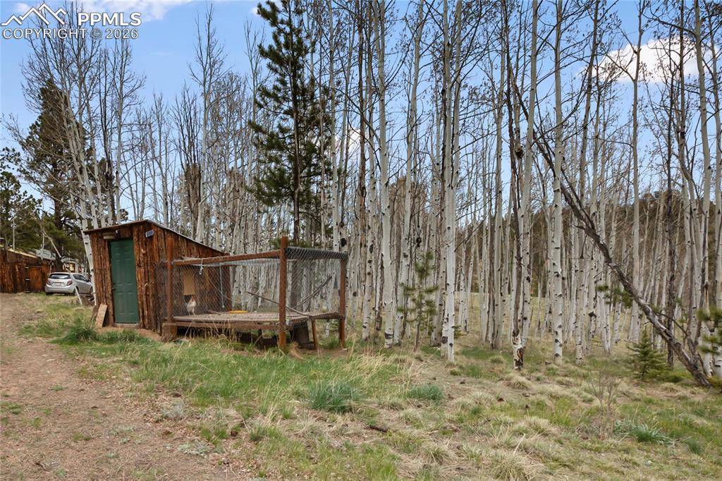 79 Beaver Creek CIR, Florissant, CO 80816