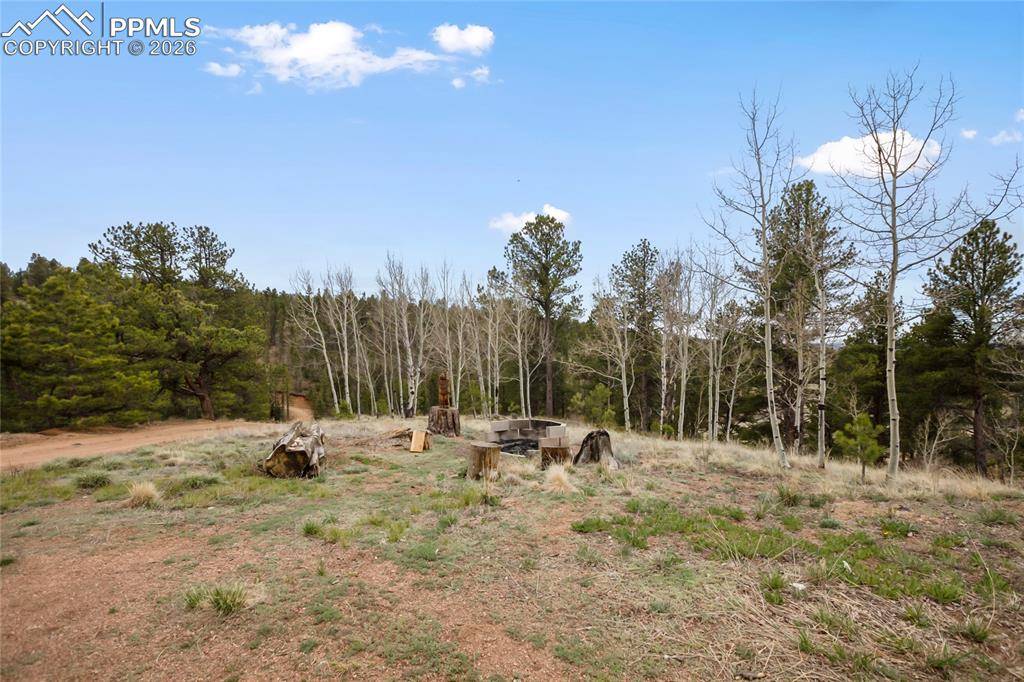79 Beaver Creek CIR, Florissant, CO 80816