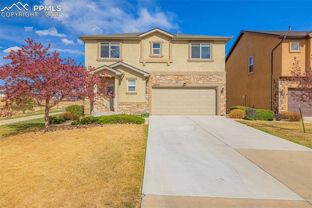 11633 Black Maple LN, Colorado Springs, CO 80921