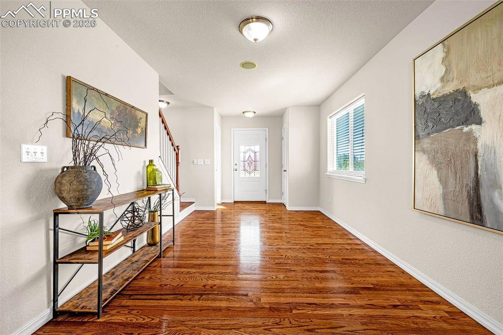 11633 Black Maple LN, Colorado Springs, CO 80921