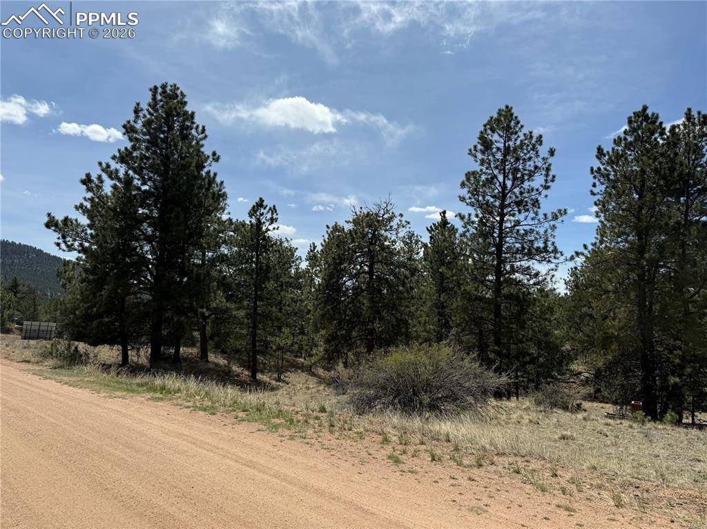 99 Cheyenne WAY, Florissant, CO 80816