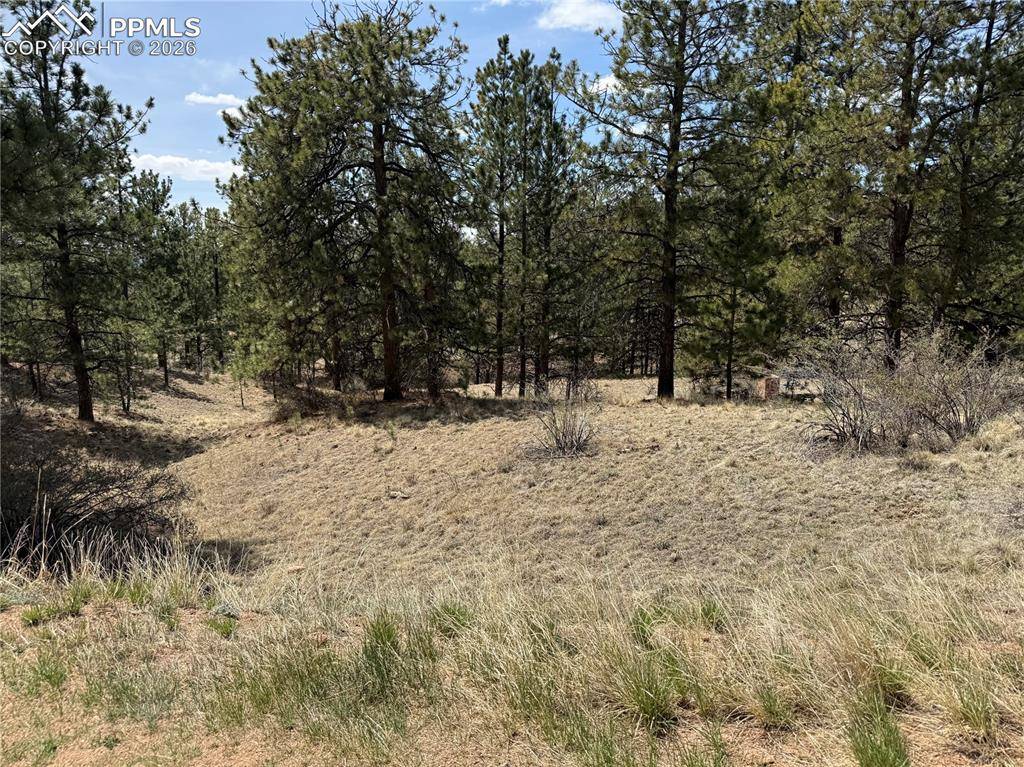 99 Cheyenne WAY, Florissant, CO 80816